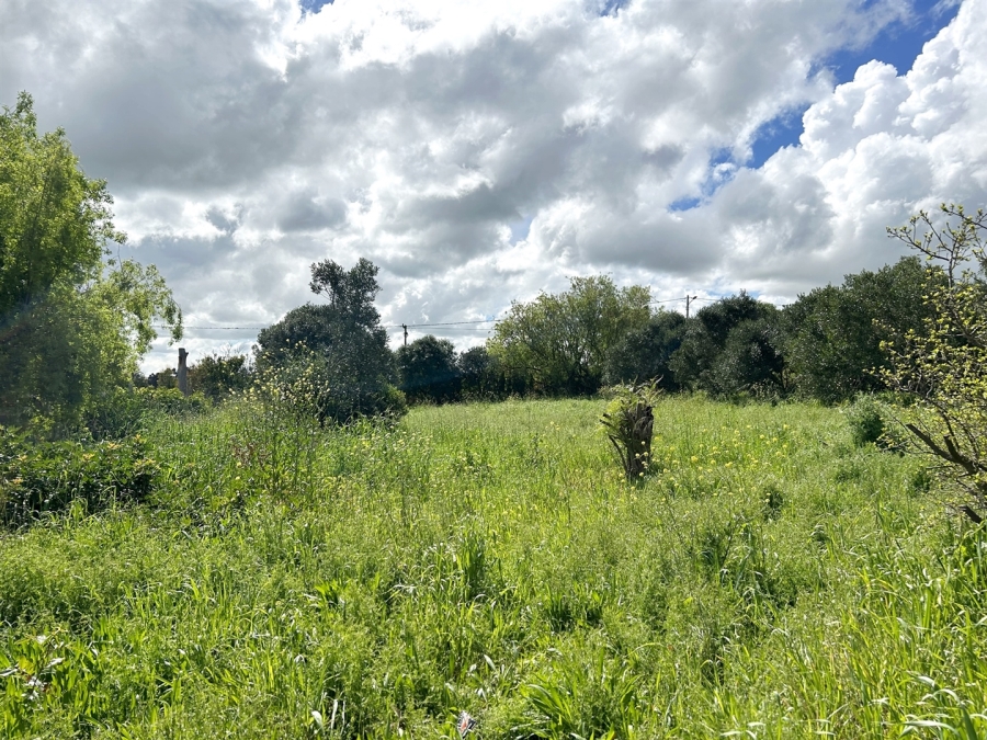 0 Bedroom Property for Sale in Napier Western Cape